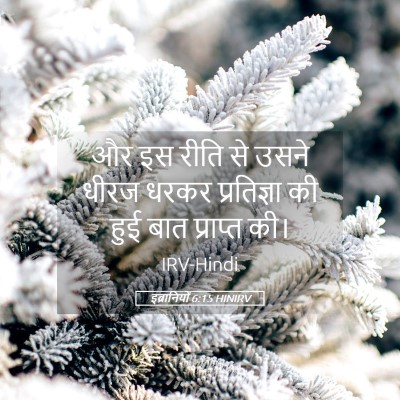 Picture 05 - इब्रानियों 6:15 HINIRV - और इस रीति से उसने - Bible Verse Picture