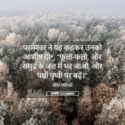 Picture 05 - उत्पत्ति 1:22 HINIRV - परमेश्‍वर ने यह - Bible Verse Picture