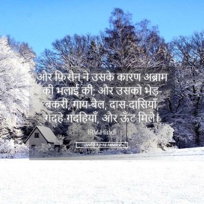 Picture 05 - उत्पत्ति 12:16 HINIRV - और फ़िरौन ने उसके - Bible Verse Picture