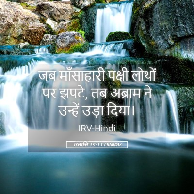 Picture 05 - उत्पत्ति 15:11 HINIRV - जब माँसाहारी - Bible Verse Picture