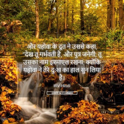 Picture 05 - उत्पत्ति 16:11 HINIRV - और यहोवा के दूत ने - Bible Verse Picture
