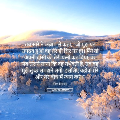 Picture 05 - उत्पत्ति 16:5 HINIRV - तब सारै ने अब्राम - Bible Verse Picture