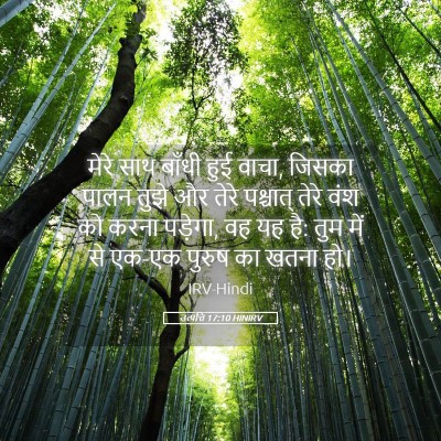 Picture 05 - उत्पत्ति 17:10 HINIRV - मेरे साथ बाँधी हुई - Bible Verse Picture