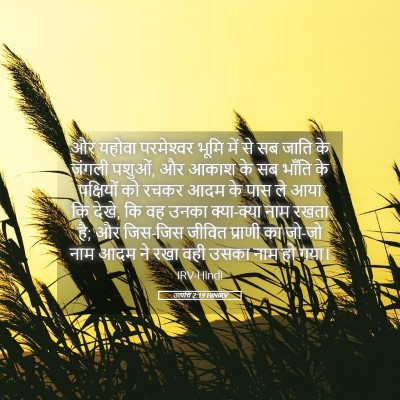 Picture 05 - उत्पत्ति 2:19 HINIRV - और यहोवा - Bible Verse Picture