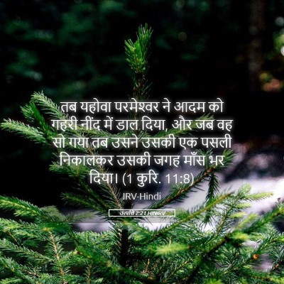 Picture 05 - उत्पत्ति 2:21 HINIRV - तब यहोवा - Bible Verse Picture