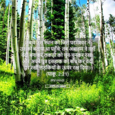 Picture 05 - उत्पत्ति 22:9 HINIRV - जब वे उस स्थान को - Bible Verse Picture
