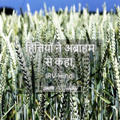 Picture 05 - उत्पत्ति 23:5 HINIRV - हित्तियों ने - Bible Verse Picture