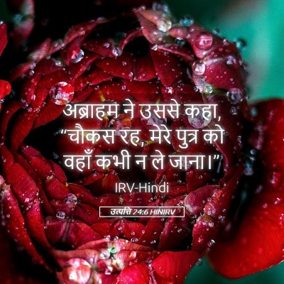 Picture 05 - उत्पत्ति 24:6 HINIRV - अब्राहम ने उससे - Bible Verse Picture