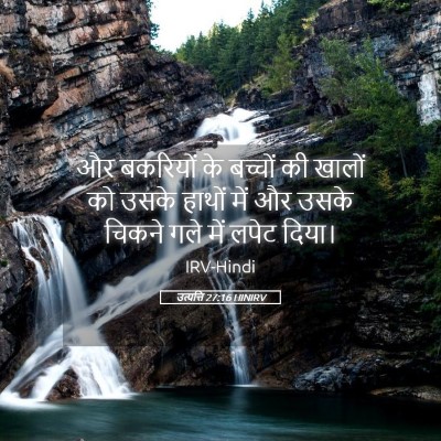 Picture 05 - उत्पत्ति 27:16 HINIRV - और बकरियों के - Bible Verse Picture