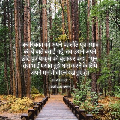 Picture 05 - उत्पत्ति 27:42 HINIRV - जब रिबका को अपने - Bible Verse Picture