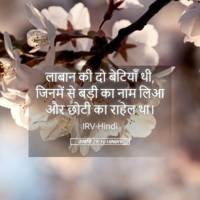 Picture 05 - उत्पत्ति 29:16 HINIRV - लाबान की दो - Bible Verse Picture