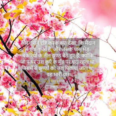 Picture 05 - उत्पत्ति 29:2 HINIRV - और उसने दृष्टि - Bible Verse Picture