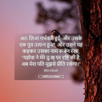 Picture 05 - उत्पत्ति 29:32 HINIRV - अतः लिआ गर्भवती - Bible Verse Picture