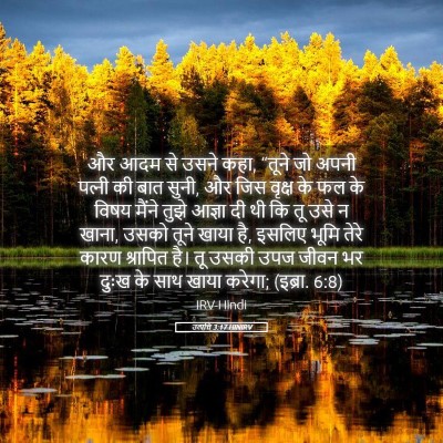 Picture 05 - उत्पत्ति 3:17 HINIRV - और आदम से उसने कहा, - Bible Verse Picture