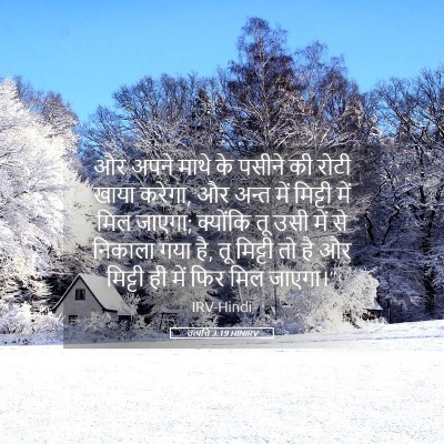 Picture 05 - उत्पत्ति 3:19 HINIRV - और अपने माथे के - Bible Verse Picture