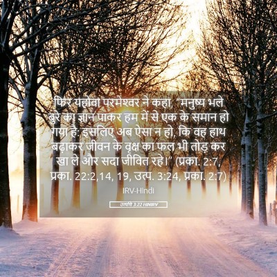 Picture 05 - उत्पत्ति 3:22 HINIRV - फिर यहोवा - Bible Verse Picture