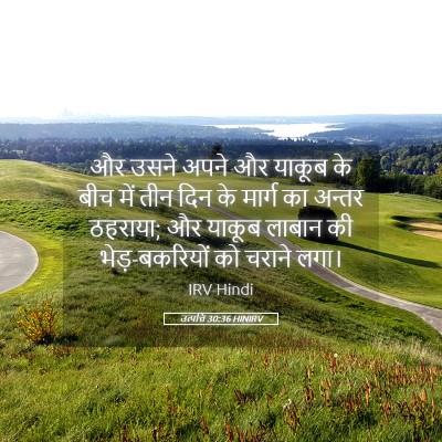 Picture 05 - उत्पत्ति 30:36 HINIRV - और उसने अपने और - Bible Verse Picture