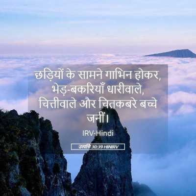 Picture 05 - उत्पत्ति 30:39 HINIRV - छड़ियों के सामने - Bible Verse Picture