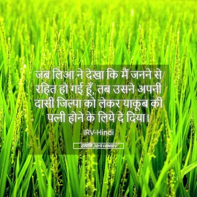 Picture 05 - उत्पत्ति 30:9 HINIRV - जब लिआ ने देखा कि - Bible Verse Picture