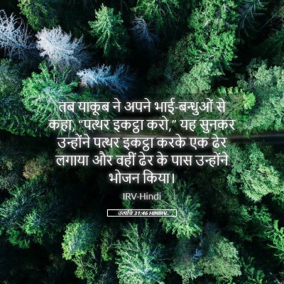 Picture 05 - उत्पत्ति 31:46 HINIRV - तब याकूब ने अपने - Bible Verse Picture