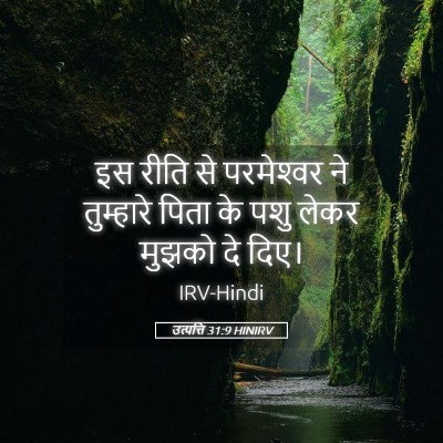 Picture 05 - उत्पत्ति 31:9 HINIRV - इस रीति से - Bible Verse Picture