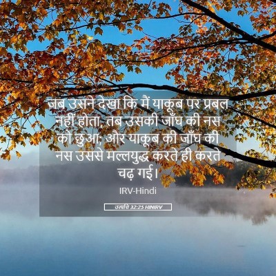 Picture 05 - उत्पत्ति 32:25 HINIRV - जब उसने देखा कि मैं - Bible Verse Picture