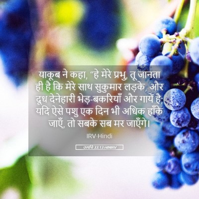 Picture 05 - उत्पत्ति 33:13 HINIRV - याकूब ने कहा, “हे - Bible Verse Picture