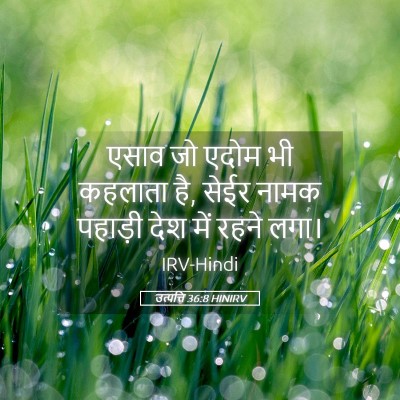 Picture 05 - उत्पत्ति 36:8 HINIRV - एसाव जो एदोम भी - Bible Verse Picture