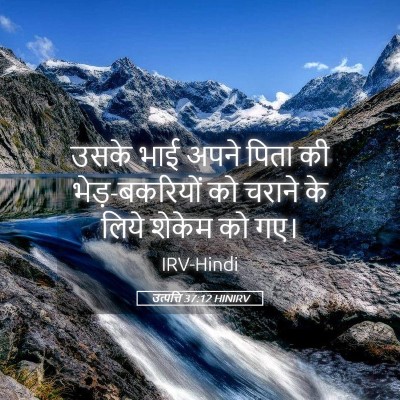 Picture 05 - उत्पत्ति 37:12 HINIRV - उसके भाई अपने पिता - Bible Verse Picture