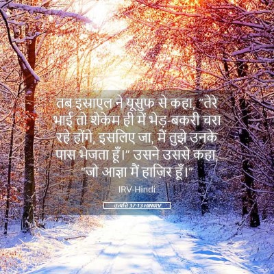 Picture 05 - उत्पत्ति 37:13 HINIRV - तब इस्राएल ने - Bible Verse Picture
