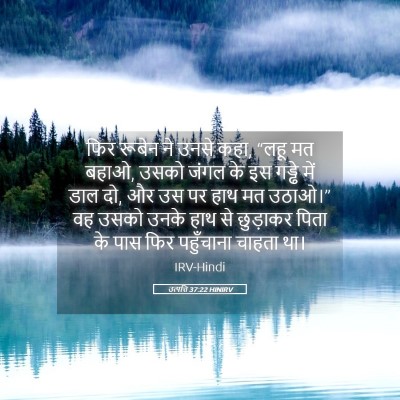 Picture 05 - उत्पत्ति 37:22 HINIRV - फिर रूबेन ने उनसे - Bible Verse Picture