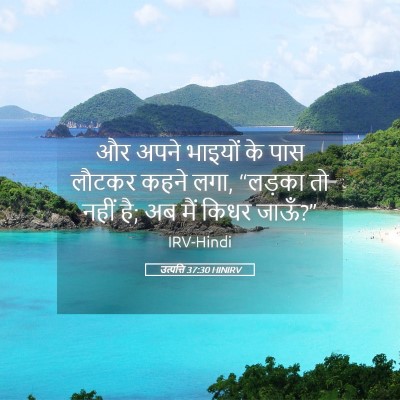 Picture 05 - उत्पत्ति 37:30 HINIRV - और अपने भाइयों के - Bible Verse Picture