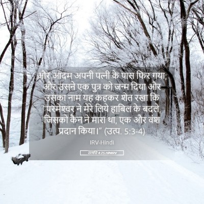 Picture 05 - उत्पत्ति 4:25 HINIRV - और आदम अपनी पत्‍नी - Bible Verse Picture