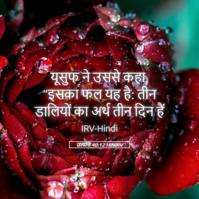 Picture 05 - उत्पत्ति 40:12 HINIRV - यूसुफ ने उससे कहा, - Bible Verse Picture