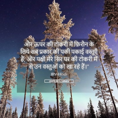 Picture 05 - उत्पत्ति 40:17 HINIRV - और ऊपर की टोकरी में - Bible Verse Picture