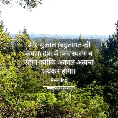 Picture 05 - उत्पत्ति 41:31 HINIRV - और सुकाल (बहुतायत - Bible Verse Picture