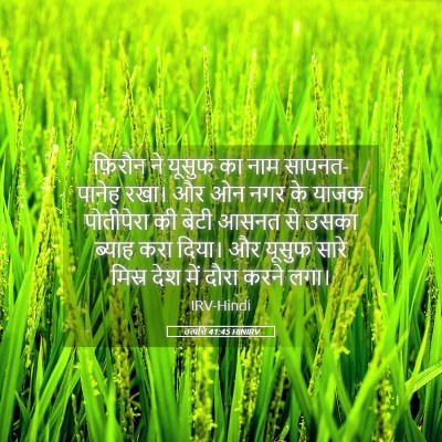 Picture 05 - उत्पत्ति 41:45 HINIRV - फ़िरौन ने यूसुफ का - Bible Verse Picture