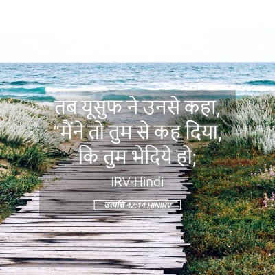 Picture 05 - उत्पत्ति 42:14 HINIRV - तब यूसुफ ने उनसे - Bible Verse Picture