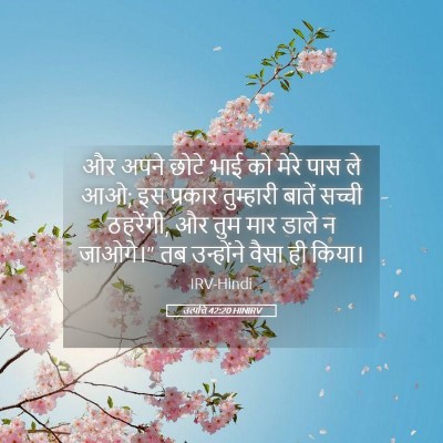 Picture 05 - उत्पत्ति 42:20 HINIRV - और अपने छोटे भाई को - Bible Verse Picture