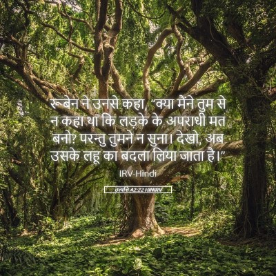 Picture 05 - उत्पत्ति 42:22 HINIRV - रूबेन ने उनसे कहा, - Bible Verse Picture