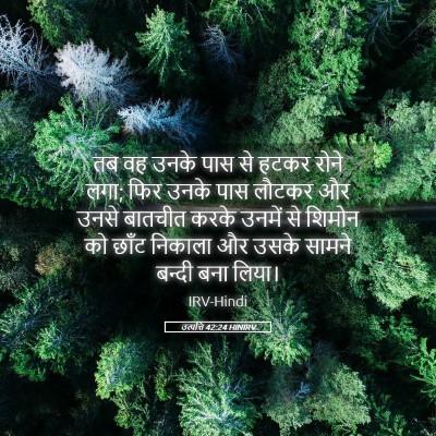 Picture 05 - उत्पत्ति 42:24 HINIRV - तब वह उनके पास से - Bible Verse Picture