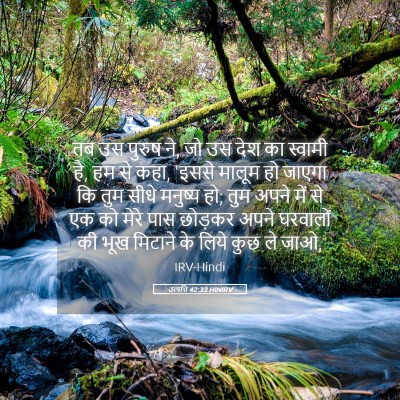 Picture 05 - उत्पत्ति 42:33 HINIRV - तब उस पुरुष ने, जो - Bible Verse Picture