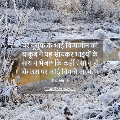 Picture 05 - उत्पत्ति 42:4 HINIRV - पर यूसुफ के भाई - Bible Verse Picture