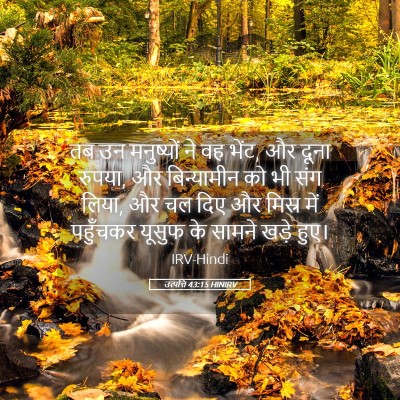 Picture 05 - उत्पत्ति 43:15 HINIRV - तब उन मनुष्यों ने - Bible Verse Picture