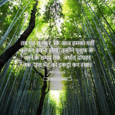 Picture 05 - उत्पत्ति 43:25 HINIRV - तब यह सुनकर, कि आज - Bible Verse Picture