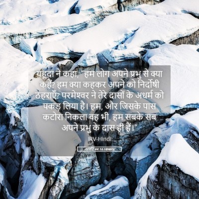 Picture 05 - उत्पत्ति 44:16 HINIRV - यहूदा ने कहा, “हम - Bible Verse Picture