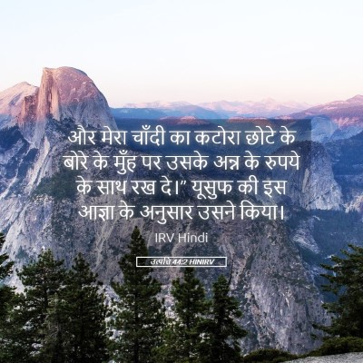 Picture 05 - उत्पत्ति 44:2 HINIRV - और मेरा चाँदी का - Bible Verse Picture