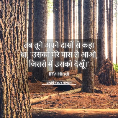Picture 05 - उत्पत्ति 44:21 HINIRV - तब तूने अपने दासों - Bible Verse Picture