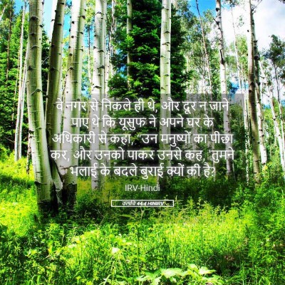 Picture 05 - उत्पत्ति 44:4 HINIRV - वे नगर से निकले ही - Bible Verse Picture