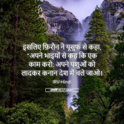 Picture 05 - उत्पत्ति 45:17 HINIRV - इसलिए फ़िरौन ने - Bible Verse Picture